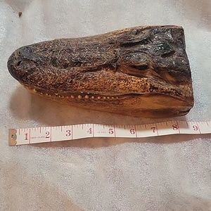 Alligator head